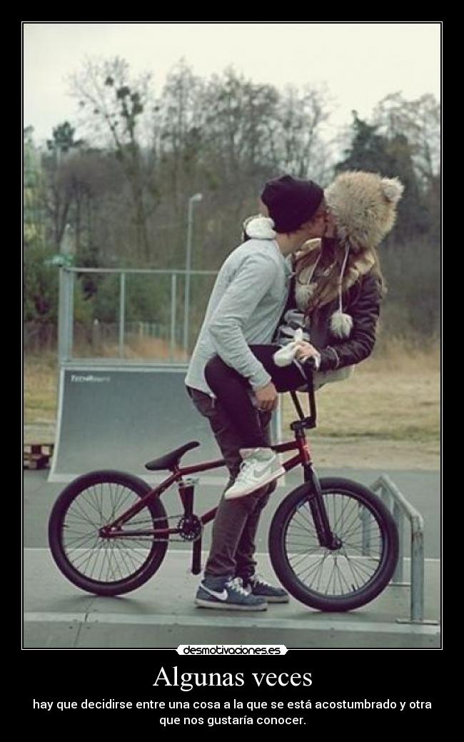 carteles feel like bull shit with yours perfection desmotivaciones