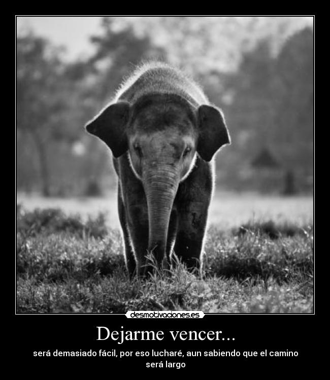 Dejarme vencer... - 