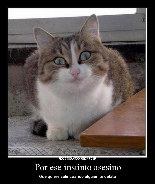 Por ese instinto asesino -