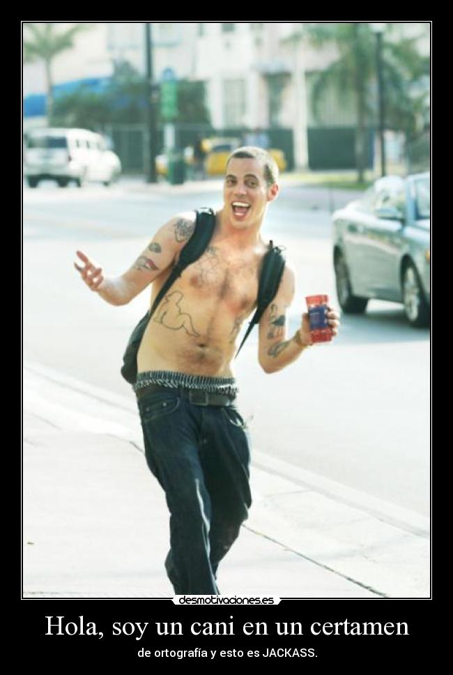 Hola, soy un cani en un certamen - de ortografía y esto es JACKASS.