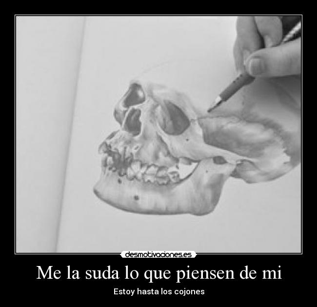 Me la suda lo que piensen de mi - Estoy hasta los cojones