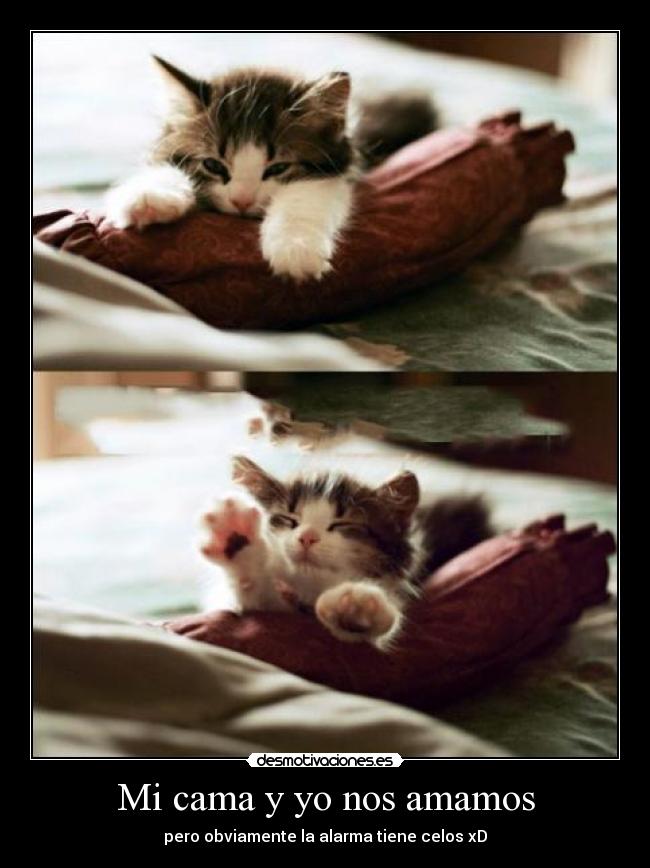 carteles desmotivaciones