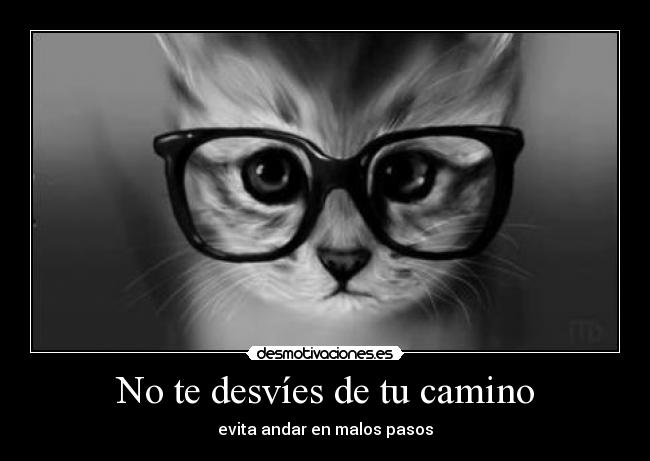 No te desvíes de tu camino -