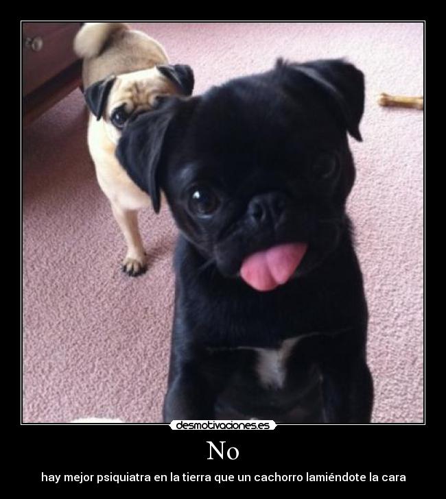 carteles todoos desmotivaciones