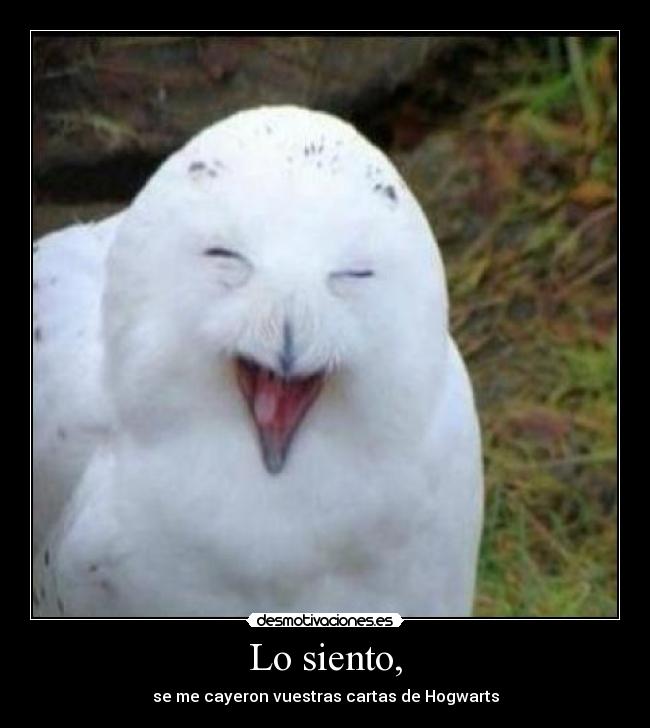 Lo siento, - se me cayeron vuestras cartas de Hogwarts