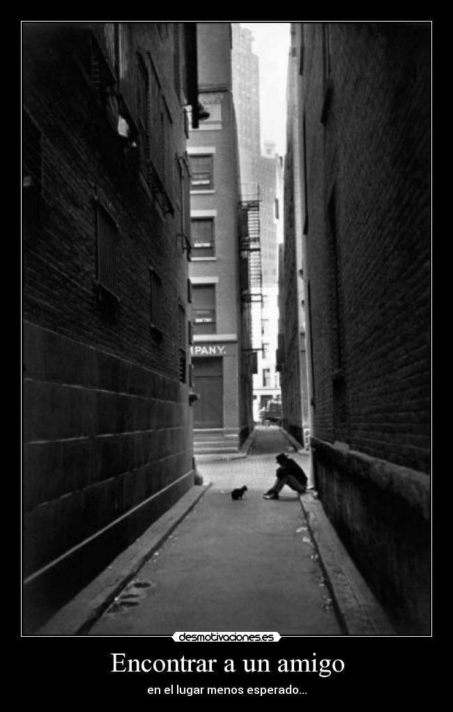 Encontrar a un amigo - en el lugar menos esperado...