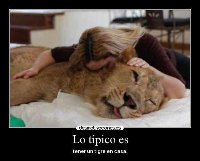 Lo típico es - tener un tigre en casa.
