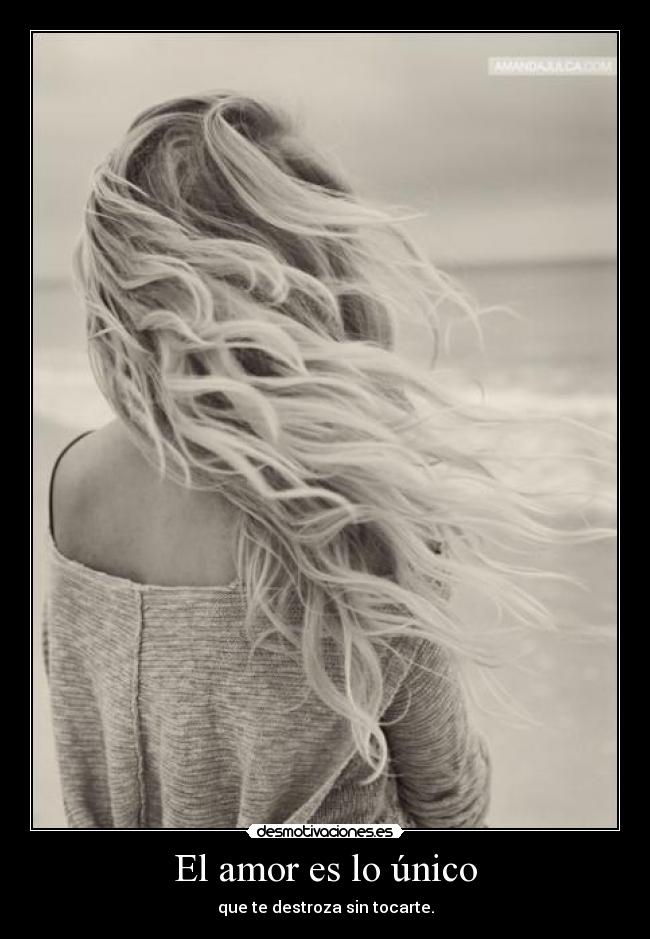 El amor es lo único - 