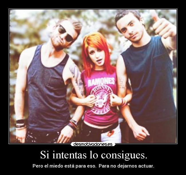 Si intentas lo consigues. - Pero el miedo está para eso. Para no dejarnos actuar.