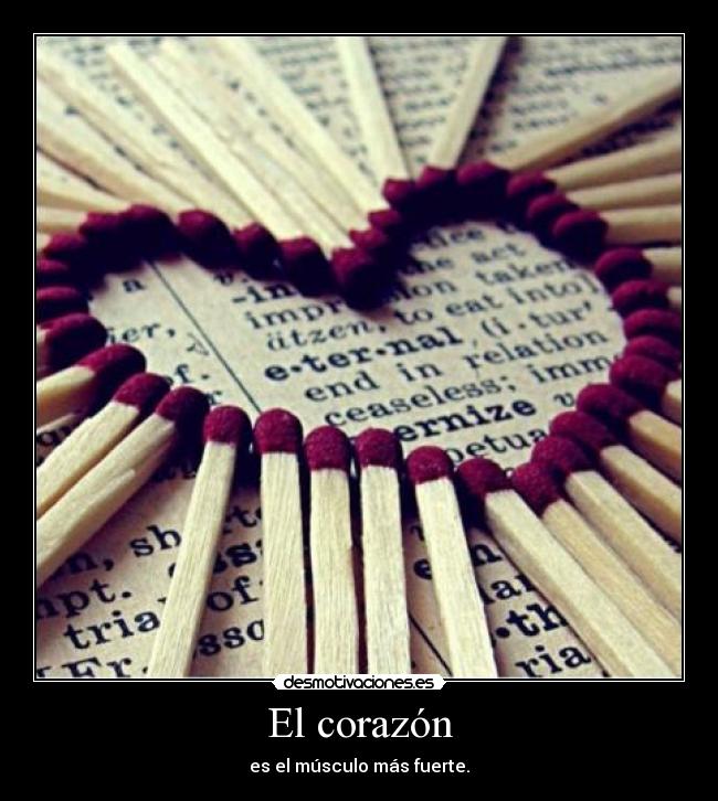 El corazón - es el músculo más fuerte.