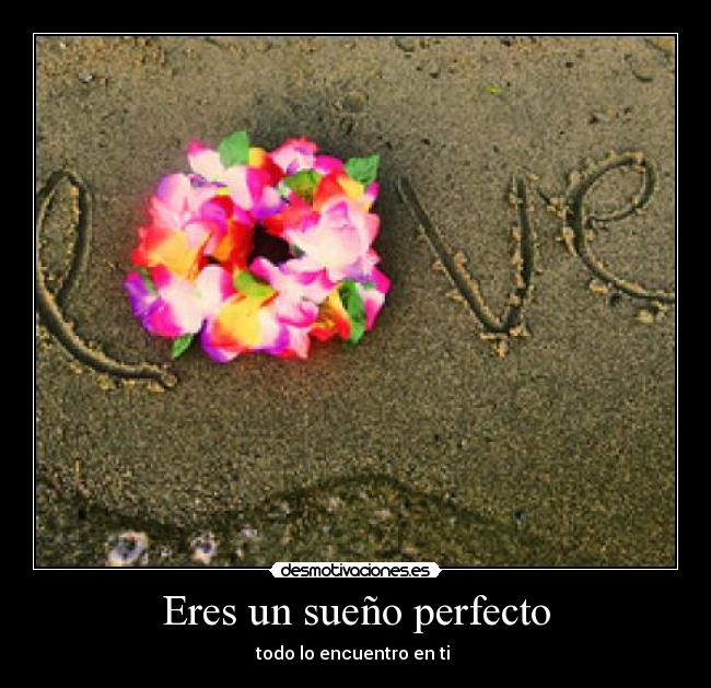 Eres un sueño perfecto - todo lo encuentro en ti ♥
