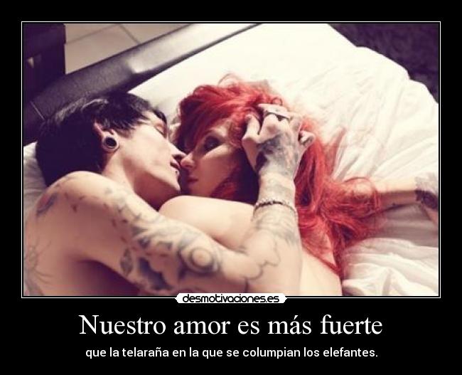 Nuestro amor es más fuerte - que la telaraña en la que se columpian los elefantes.