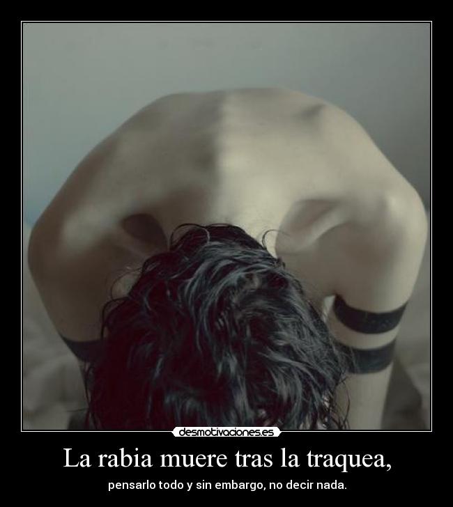 La rabia muere tras la traquea, - pensarlo todo y sin embargo, no decir nada.