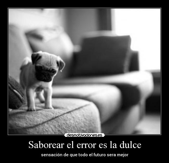 Saborear el error es la dulce - 