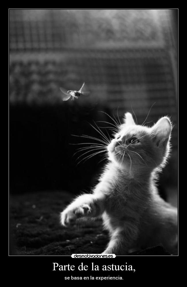 Parte de la astucia, -