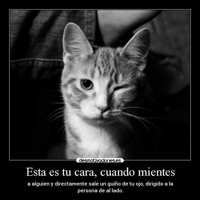 Esta es tu cara, cuando mientes - a alguien y directamente sale un guiño de tu ojo, dirigido a la persona de al lado.