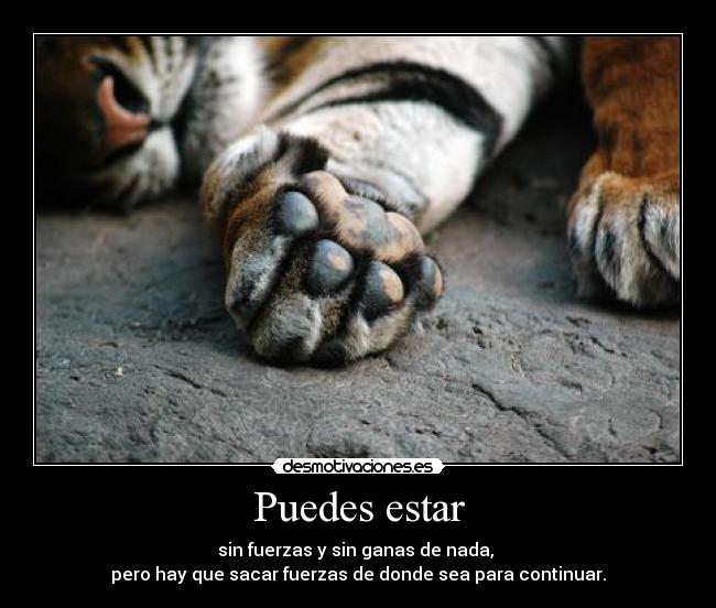 Puedes estar - sin fuerzas y sin ganas de nada,
pero hay que sacar fuerzas de donde sea para continuar.