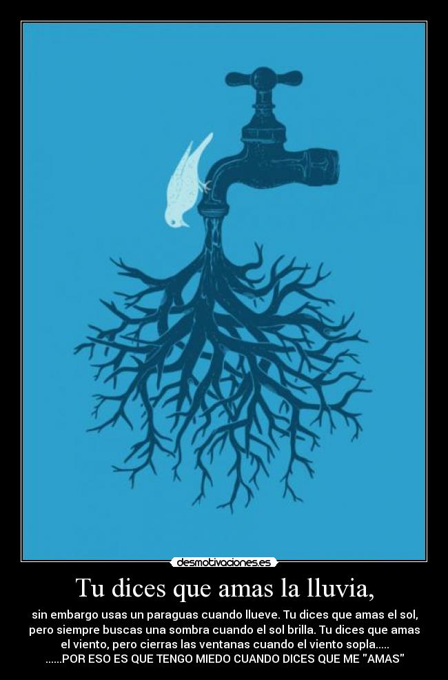 Tu dices que amas la lluvia, - sin embargo usas un paraguas cuando llueve. Tu dices que amas el sol,
pero siempre buscas una sombra cuando el sol brilla. Tu dices que amas
el viento, pero cierras las ventanas cuando el viento sopla.....
......POR ESO ES QUE TENGO MIEDO CUANDO DICES QUE ME AMAS
