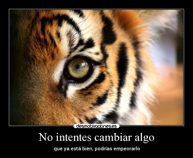 No intentes cambiar algo - 