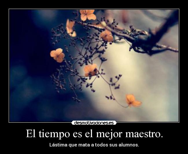 El tiempo es el mejor maestro. -