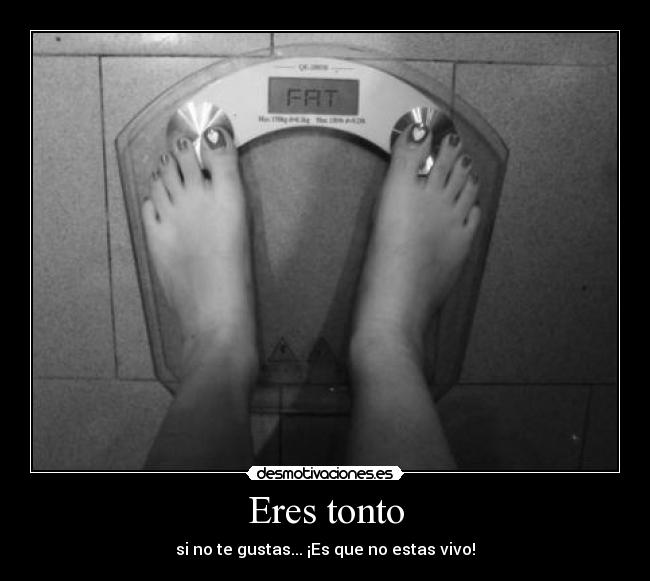 Eres tonto - 