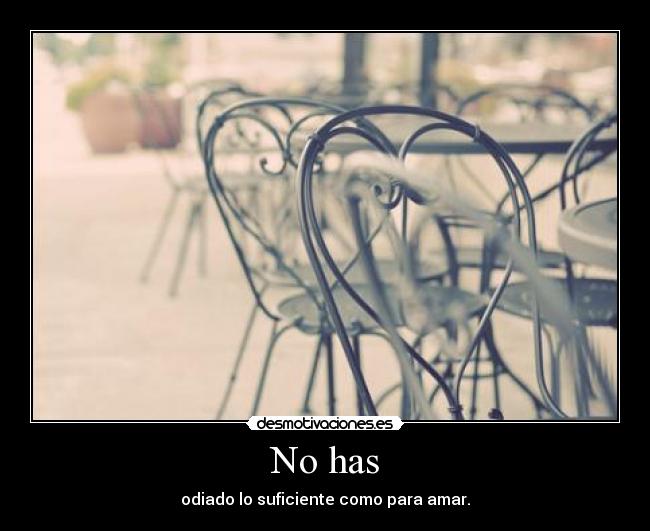 No has - odiado lo suficiente como para amar.
