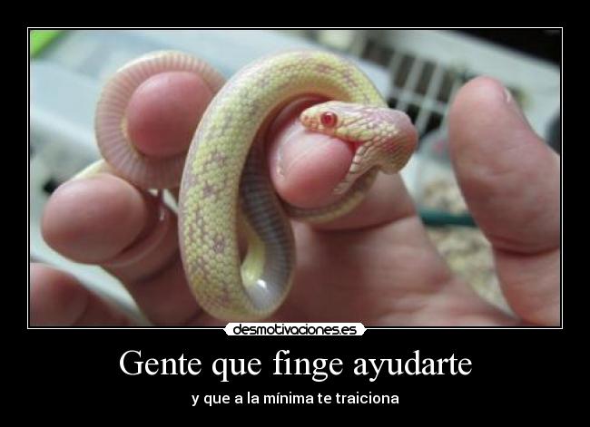 carteles nometientes intruders rayadas mentales que hago dedospuntos monaditas theyallareperfectbutnotme desmotivaciones