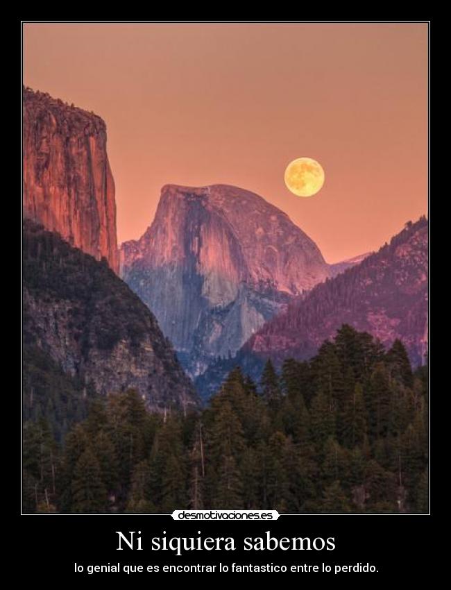 Ni siquiera sabemos - lo genial que es encontrar lo fantastico entre lo perdido.