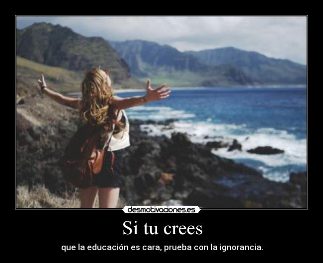 carteles verdad verdadera desmotivaciones