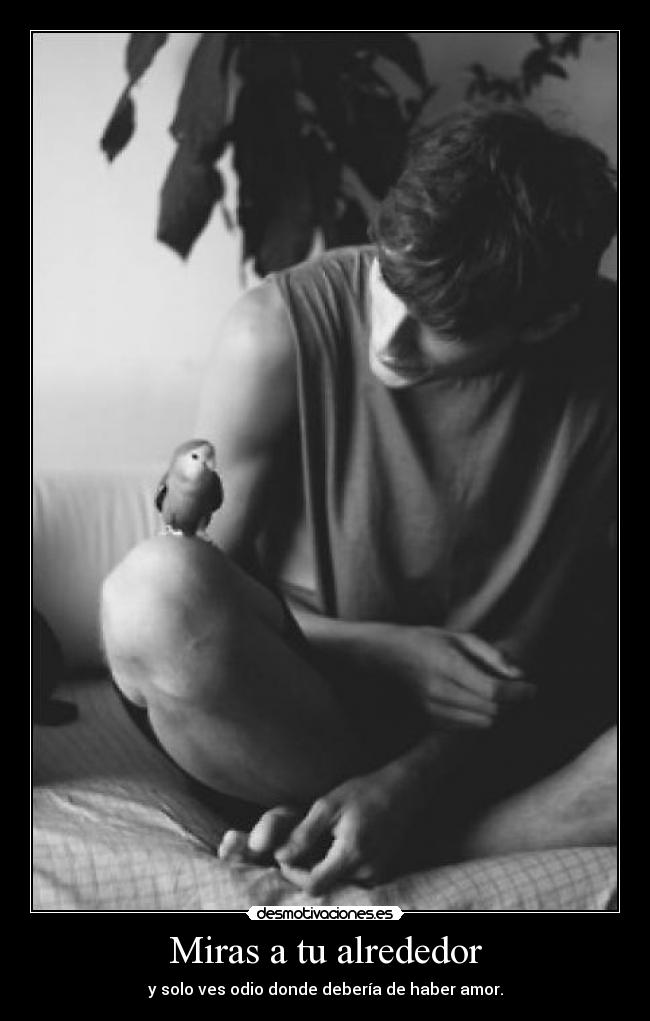 Miras a tu alrededor - y solo ves odio donde debería de haber amor.