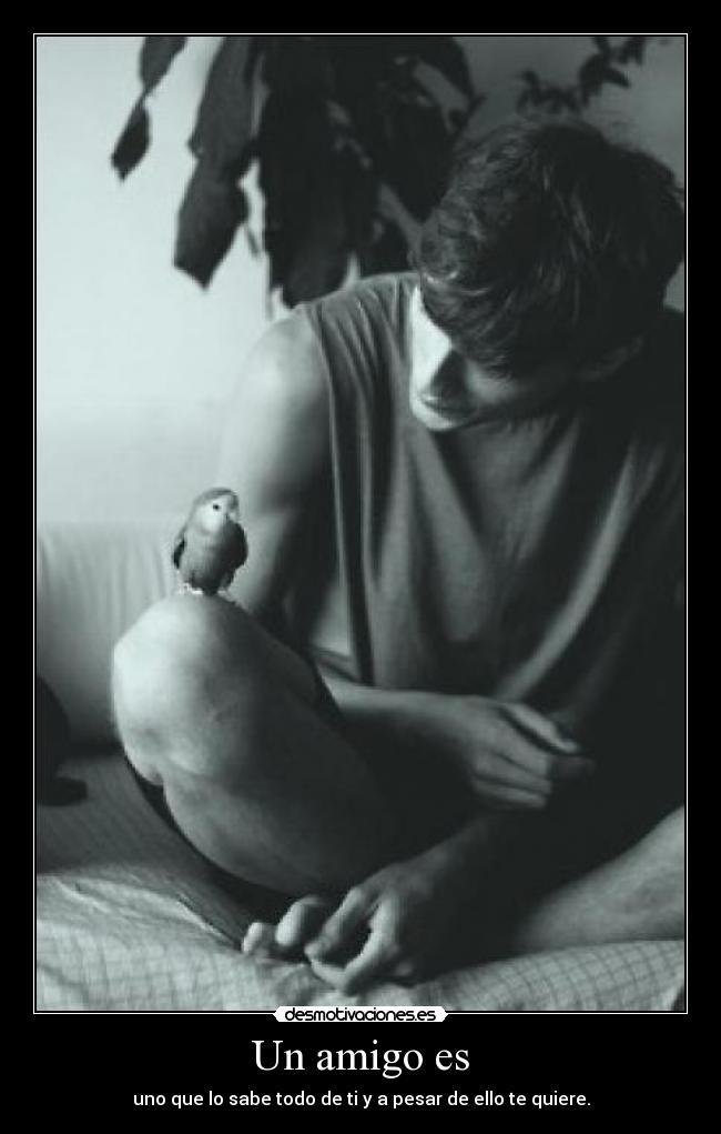 Un amigo es - uno que lo sabe todo de ti y a pesar de ello te quiere.