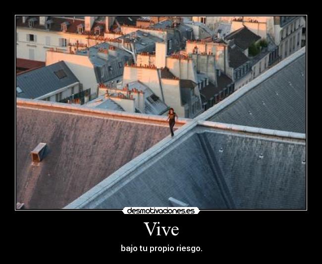 Vive -