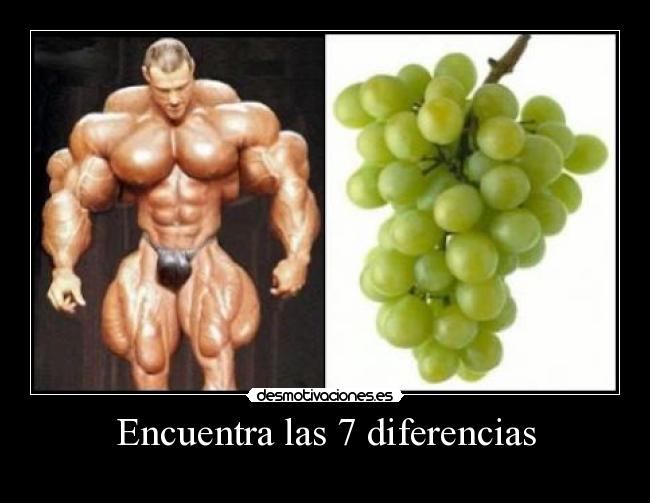 Encuentra las 7 diferencias -