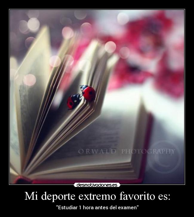 Mi deporte extremo favorito es: - Estudiar 1 hora antes del examen