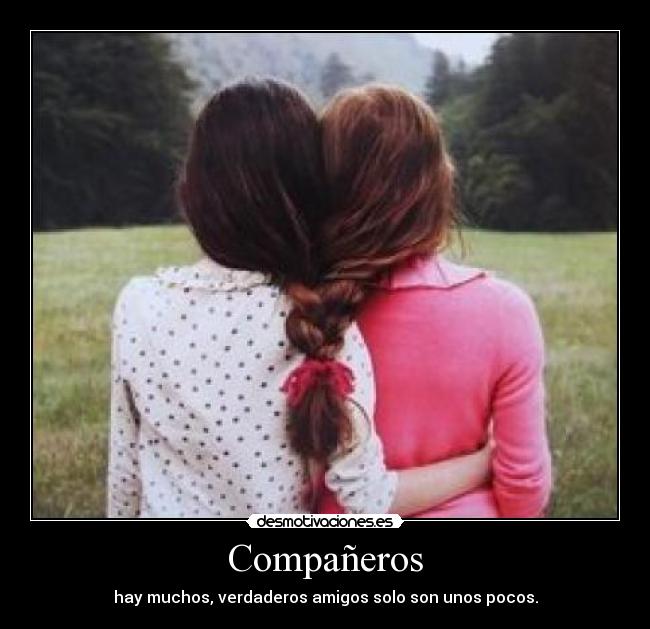 Compañeros - 
