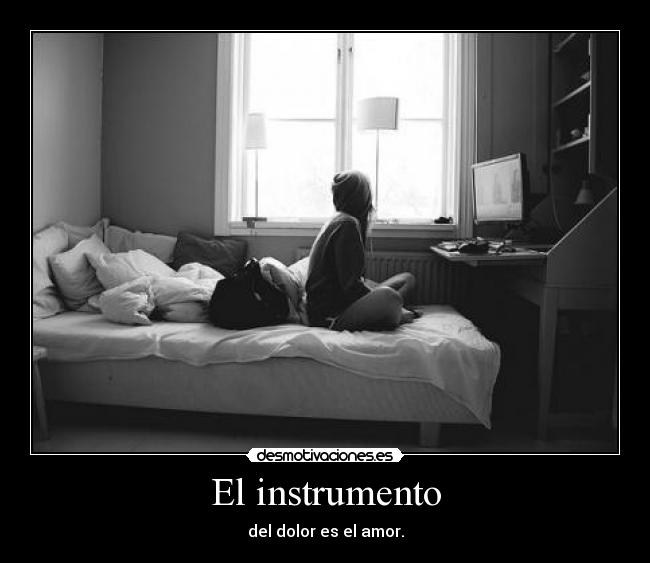 El instrumento - 