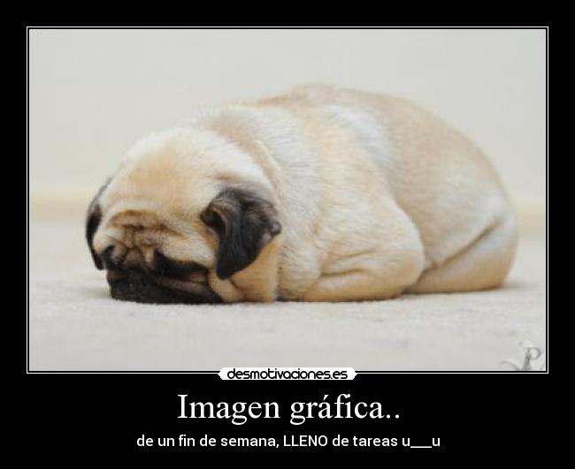 Imagen gráfica.. - de un fin de semana, LLENO de tareas u___u