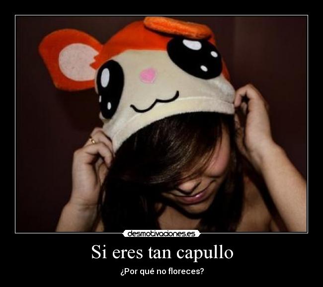 carteles floreces capullo desmotivaciones