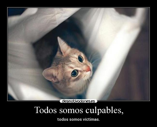 Todos somos culpables, -