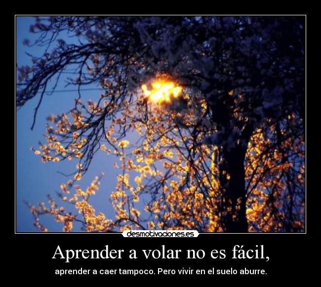 Aprender a volar no es fácil, - aprender a caer tampoco. Pero vivir en el suelo aburre.