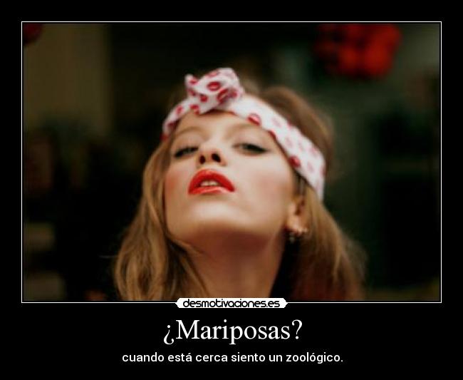 ¿Mariposas? - cuando está cerca siento un zoológico.