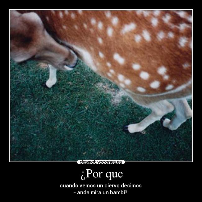 ¿Por que - cuando vemos un ciervo decimos 
- anda mira un bambi?.