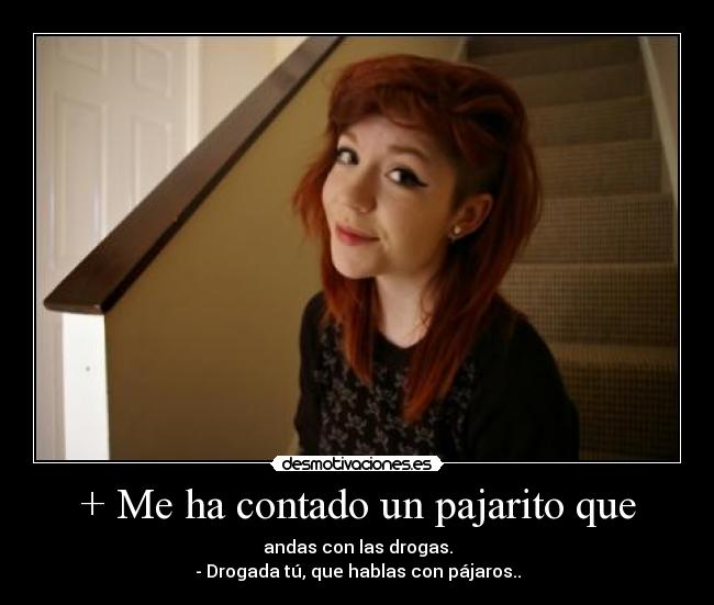 + Me ha contado un pajarito que - andas con las drogas.
- Drogada tú, que hablas con pájaros..