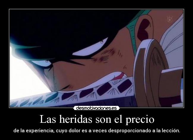 carteles one piece zoro harukaze desmotivaciones