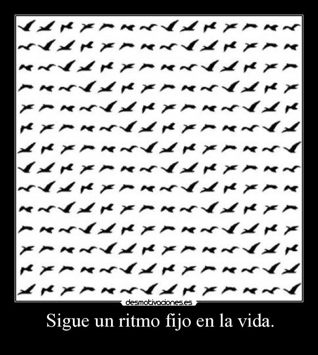 Sigue un ritmo fijo en la vida. - 