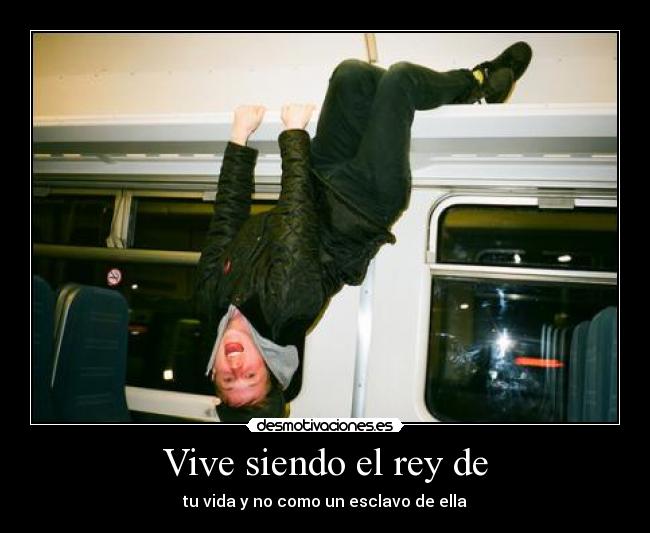 Vive siendo el rey de - 