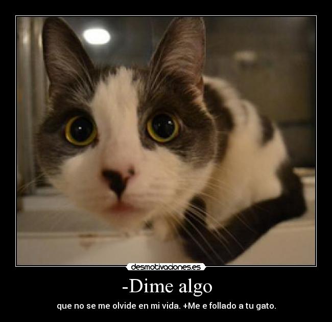 -Dime algo - 