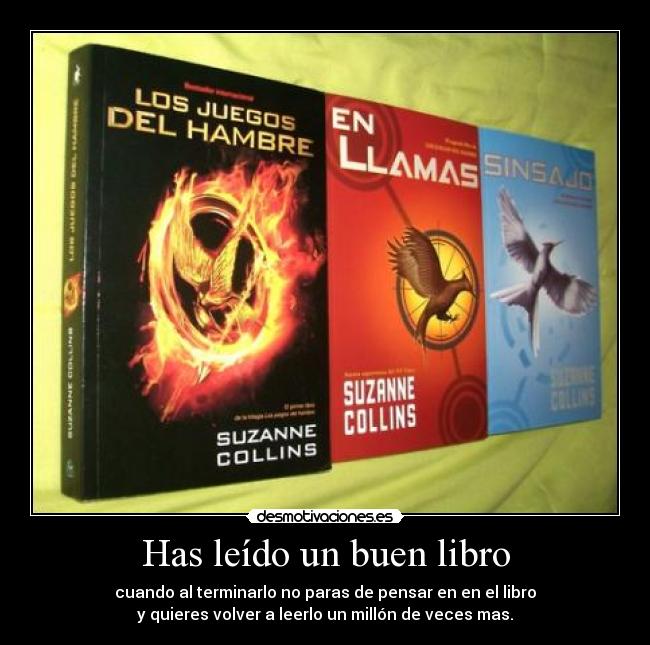 Has leído un buen libro -