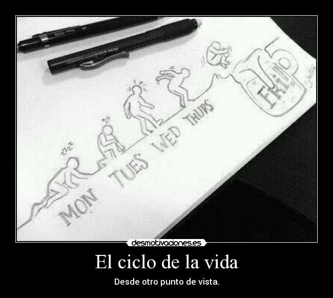 El ciclo de la vida -
