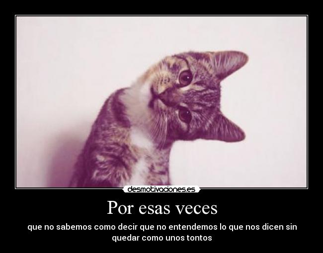 Por esas veces - que no sabemos como decir que no entendemos lo que nos dicen sin
quedar como unos tontos
